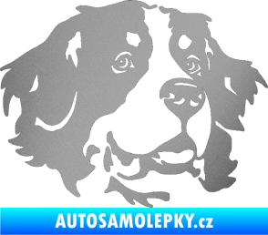 Samolepka Pes 131 pravá bernský salašnický pes stříbrná metalíza