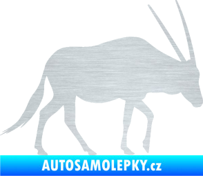 Samolepka Antilopa 001 pravá škrábaný hliník