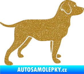 Samolepka Pes 062 pravá Labrador Ultra Metalic zlatá