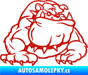 Samolepka Buldog 001 pravá pes 3D karbon červený