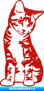 Samolepka Koťátko 006 pravá 3D karbon červený