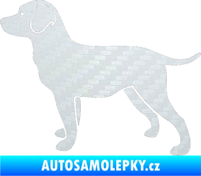 Samolepka Pes 062 levá Labrador 3D karbon bílý