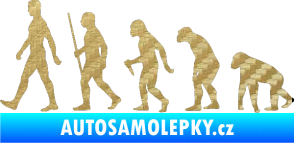 Samolepka Evoluce 001 levá 3D karbon zlatý