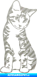 Samolepka Koťátko 006 pravá 3D karbon stříbrný
