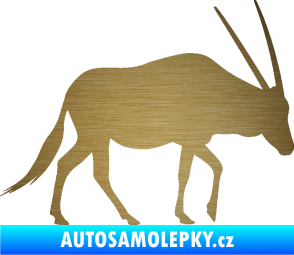 Samolepka Antilopa 001 pravá škrábaný kov zlatý