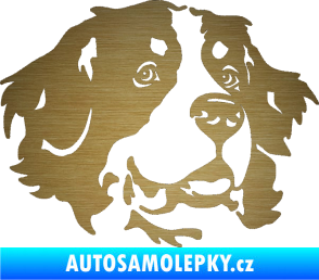 Samolepka Pes 131 pravá bernský salašnický pes škrábaný kov zlatý