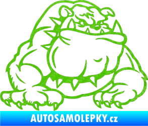 Samolepka Buldog 001 pravá pes 3D karbon zelený kawasaki