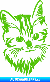 Samolepka Kočka 018 pravá 3D karbon zelený kawasaki