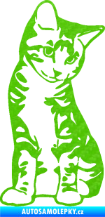 Samolepka Koťátko 006 pravá 3D karbon zelený kawasaki