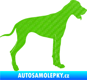 Samolepka Pes 086 pravá Doga 3D karbon zelený kawasaki