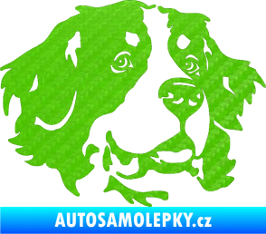 Samolepka Pes 131 pravá bernský salašnický pes 3D karbon zelený kawasaki