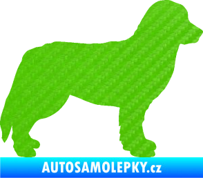 Samolepka Pes 157 pravá bernský salašnický 3D karbon zelený kawasaki