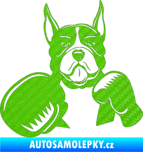Samolepka Pes 183 levá boxer 3D karbon zelený kawasaki