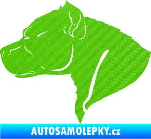 Samolepka Pitbull 004 levá 3D karbon zelený kawasaki
