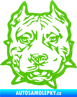 Samolepka Pitbull hlava 003 levá 3D karbon zelený kawasaki