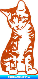 Samolepka Koťátko 006 levá 3D karbon oranžový