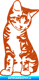 Samolepka Koťátko 006 pravá 3D karbon oranžový