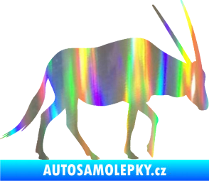 Samolepka Antilopa 001 pravá Holografická