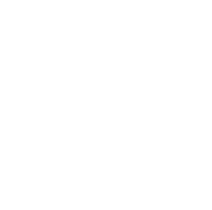 Dragon 055 levá drak s květinami