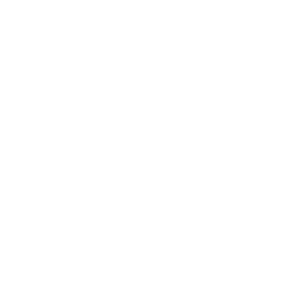 Dragon 055 pravá drak s květinami