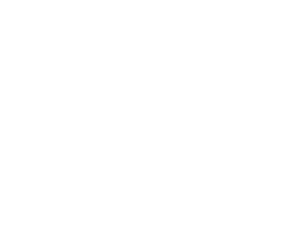 Kočka 037 levá s motýlky