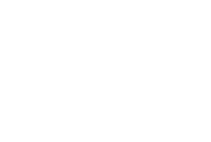 Květina dekor 048 levá ibišek a srdce