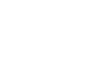 Květina dekor 048 pravá ibišek a srdce