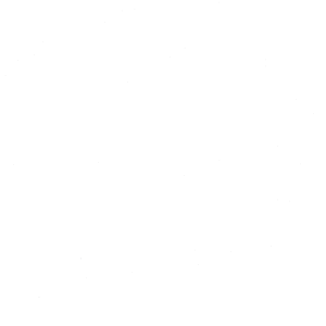 Pes 104 pravá Labrador