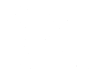 Veselé vosy fly united pravá