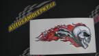 Samolepka Barevná lebka 003 pravá v plamenech