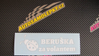 Samolepka Beruška za volantem