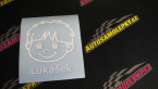 Samolepka Dítě v autě 036 levá chlapec hlavička