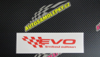 Samolepka Evo limited edition levá