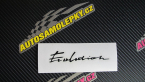 Samolepka Evolution