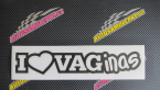 Samolepka I Love vaginas