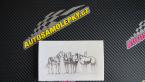 Samolepka Koníci 001 pravá