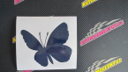 Samolepka Motýl 009 levá