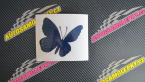 Samolepka Motýl 009 pravá