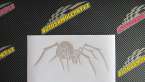 Samolepka Pavouk 002 - pravá