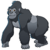 Barevná gorila 003 levá