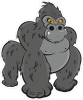 Barevná gorila 011 pravá samec