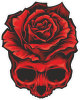 Barevná lebka 036 růže