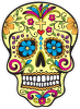 Barevná lebka 144 mexický motiv květin