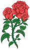 Barevná růže 004 pravá