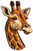 Barevná žirafa 003 pravá