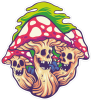 Barevné houby 001 pravá jedovaté muchomůrky