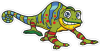 Barevný chameleon 002 pravá