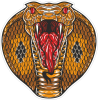 Barevný had 002 kobra