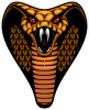 Barevný had 011 rozzuřená kobra