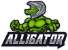 Barevný krokodýl 017 s přilbou nápis Alligator